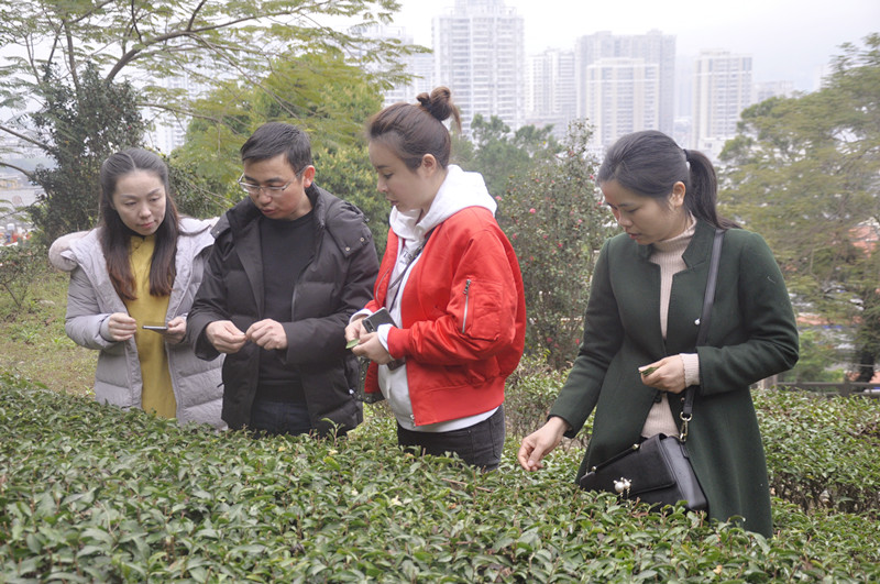 古茶道茶业有限公司对泉州力夫科技茶叶审评设备评测?